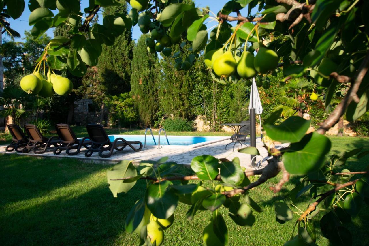 Villa Micheline Kosinozici Exterior foto
